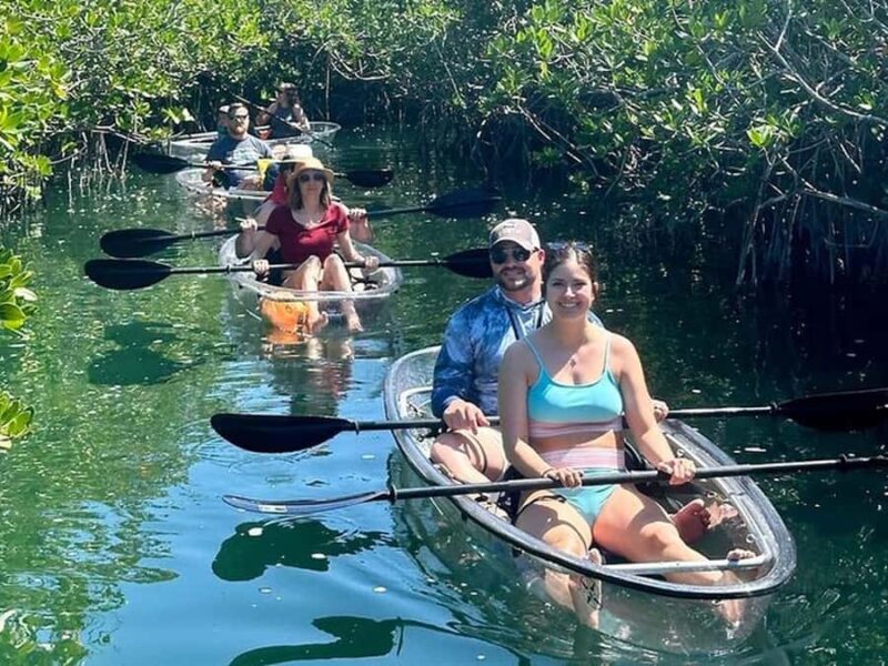 Key West Area: Guided Clear Kayak Eco-Tour - Encountering Marine Wildlife Up Close