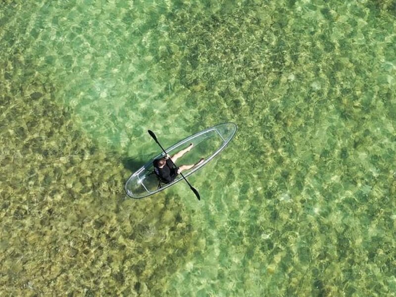 Key West Area: Guided Clear Kayak Eco-Tour - The Guide’s Role and Educational Focus