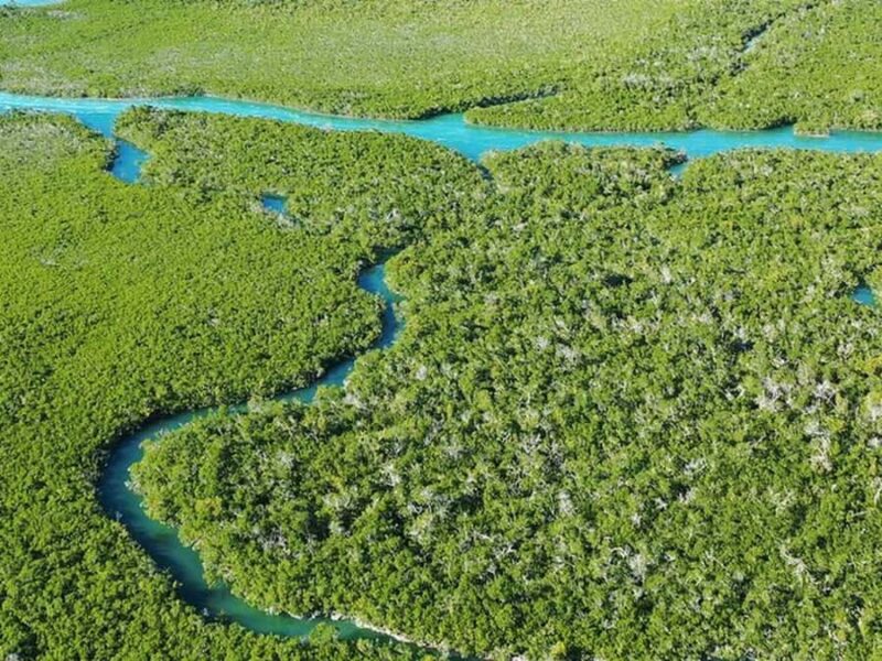 Key West Area: Guided Clear Kayak Eco-Tour - Practicalities: Booking, Cancellation, and Flexibility