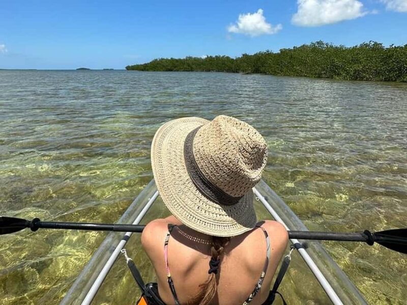 Key West Area: Guided Clear Kayak Eco-Tour - Who’s Most Likely to Enjoy This Tour