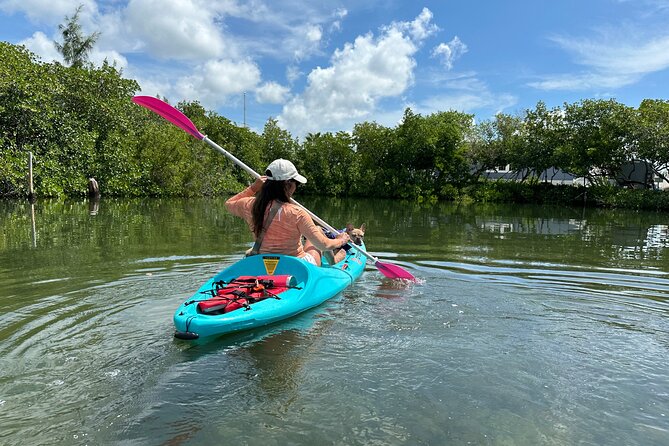 Key West Clear Kayak Eco Tour - Navigating the Key West Waterways in Transparent Bottom Kayaks