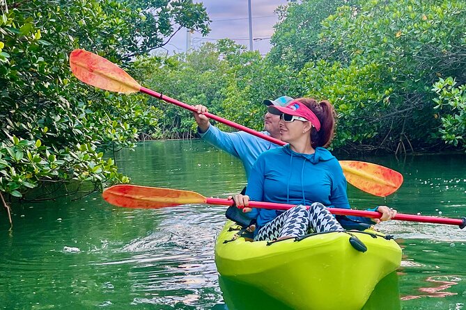 Key West Clear Kayak Eco Tour - Marine Life You Can Expect to See During the Tour