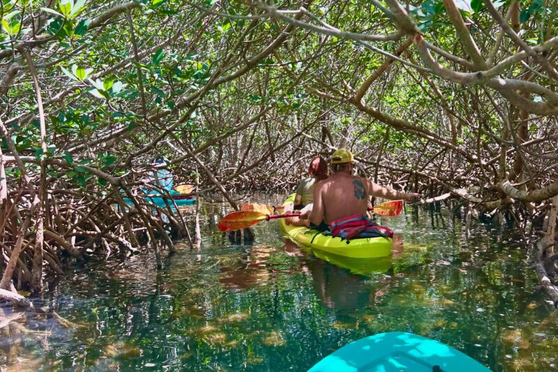 Key West Clear Kayak Eco Tour - The Pacing and Physical Commitment of the Tour