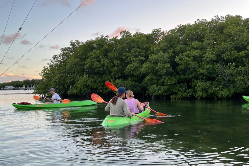 Key West Clear Kayak Eco Tour - The Role of the Guide in Enhancing the Experience