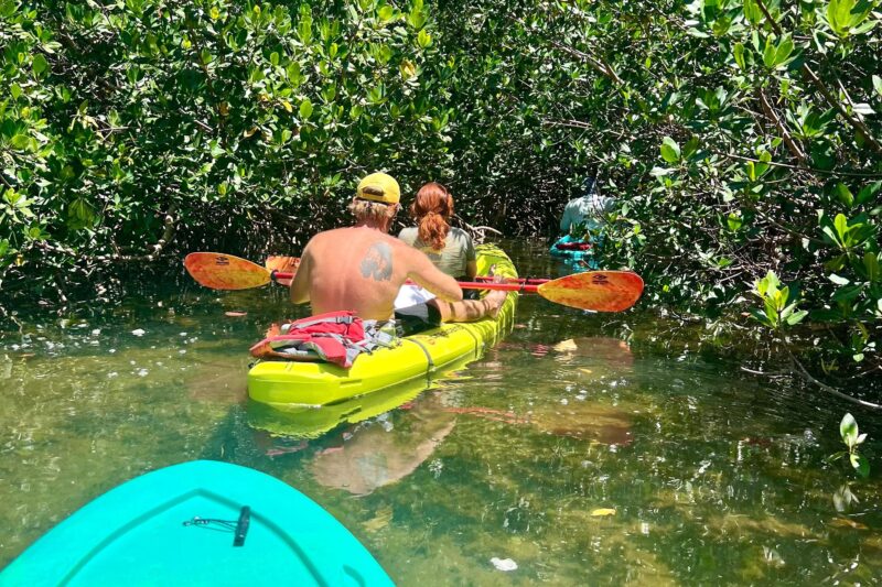 Key West Clear Kayak Eco Tour - Practical Details and Amenities for the Tour