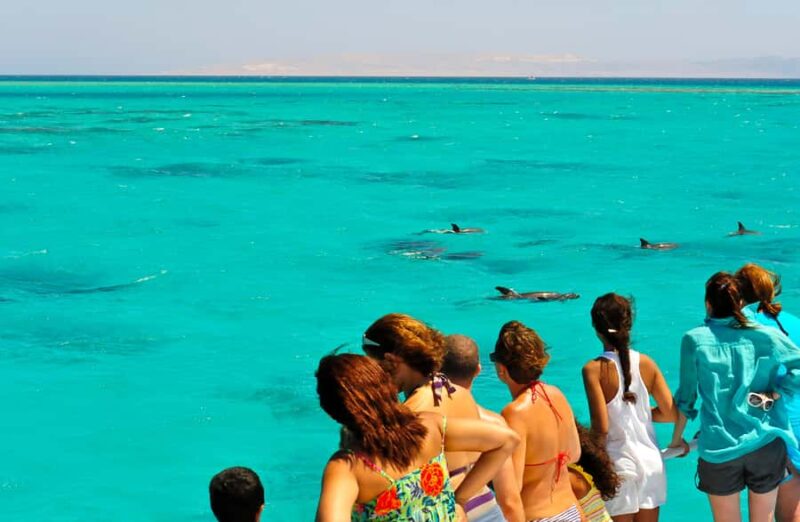 Key West: Dolphin & Reef Snorkel Trip with Sunset Option - Key Points