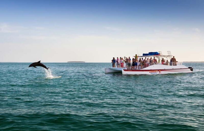 Key West: Dolphin & Reef Snorkel Trip with Sunset Option - Comparing Similar Experiences in Key West