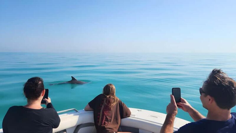Key West Dolphin & Snorkel Tour - Small Group - Meeting Point and Access: Easy and Convenient