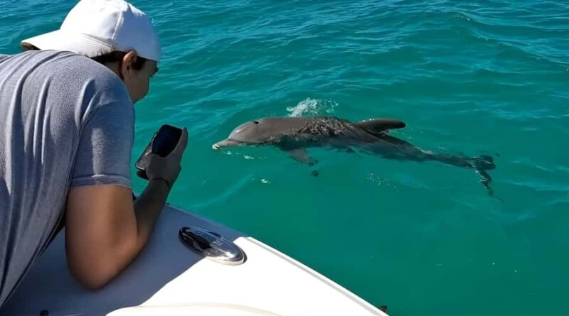 Key West Dolphin & Snorkel Tour - Small Group - What’s Included: Gear, Snacks, and Drinks