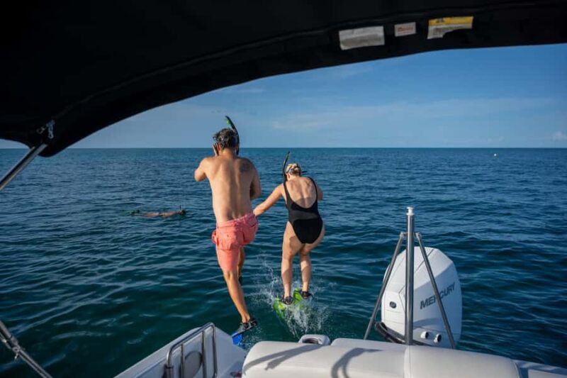 Key West Dolphin & Snorkel Tour - Small Group - Reviews and Guest Feedback Highlights