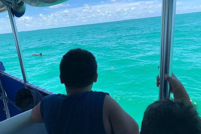 Key West Dolphin Watch and Snorkel Tour - Eco Adventure - Snorkeling in the Key West National Wildlife Refuge