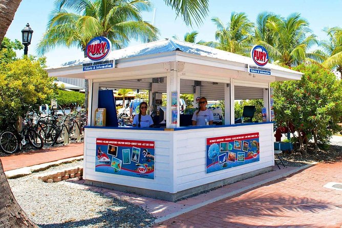 Key West Dolphin Watch and Snorkel Tour - Eco Adventure - Who Can Participate and What to Prepare