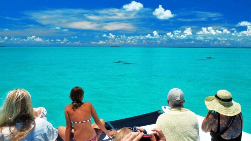 Key West: Dolphin Watching and Snorkeling Eco Cruise Tour - Snorkeling in the Florida Keys Backcountry Waters