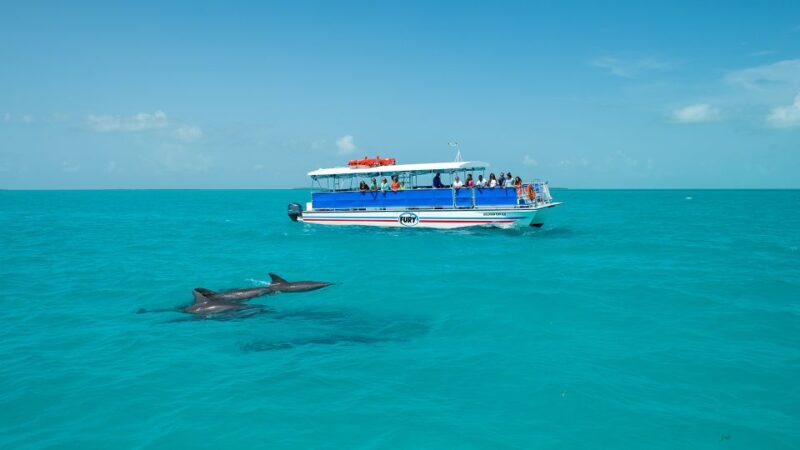 Key West: Dolphin Watching and Snorkeling Eco Cruise Tour - The Guides and Crew: Knowledgeable and Friendly