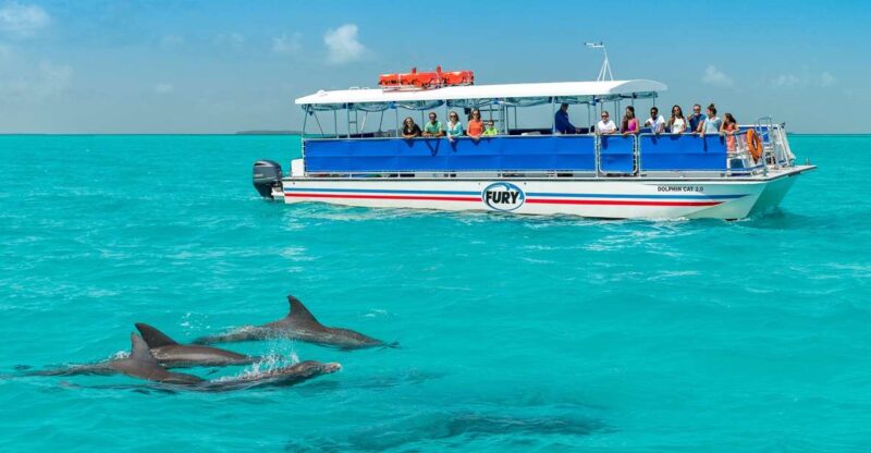 Key West: Dolphin Watching and Snorkeling Eco Cruise Tour - Timing and Seasonal Considerations