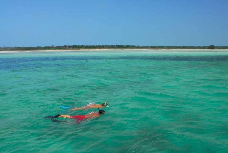 Key West: Dolphin Watching and Snorkeling Eco Cruise Tour - Value for Money and Overall Experience