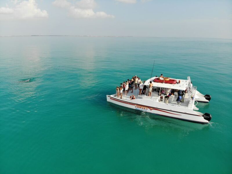 Key West: Dolphin Watching and Snorkeling Sunset Cruise - The Crew: Guides and Service Excellence