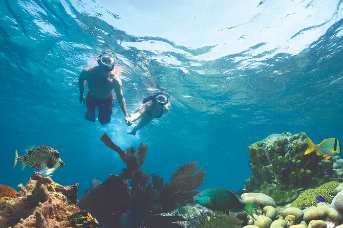 Key West Double-Dip Snorkel Tour-Two Stops, Twice the Fun! - Discover the Double Dip Snorkel Tour in Key West