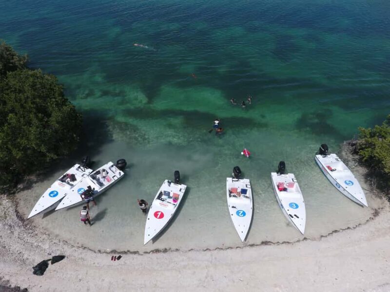 Key West: Eco Safari Sandbar Tour with Snorkeling - Driving Your Own Speedboat Through the Mangrove Maze