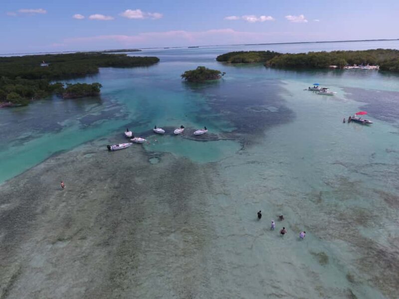 Key West: Eco Safari Sandbar Tour with Snorkeling - The Windy Factor: Snorkeling Limitations