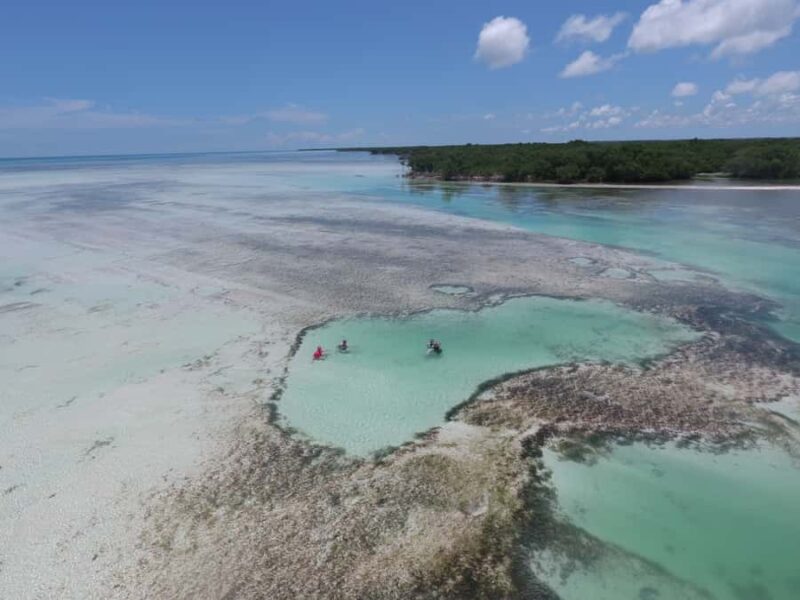 Key West: Eco Safari Sandbar Tour with Snorkeling - Logistics, Group Size, and Safety Precautions