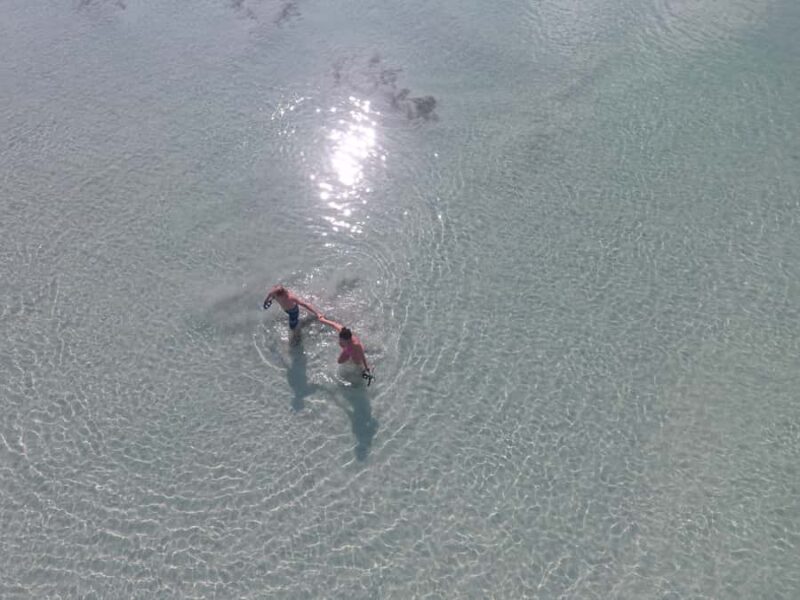 Key West: Eco Safari Sandbar Tour with Snorkeling - Comparing Similar Eco Tours in Key West