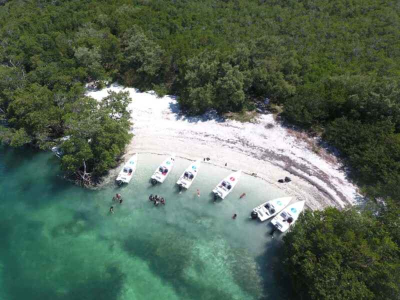 Key West: Eco Safari Sandbar Tour with Snorkeling - Pricing, Cancellation, and Booking Flexibility