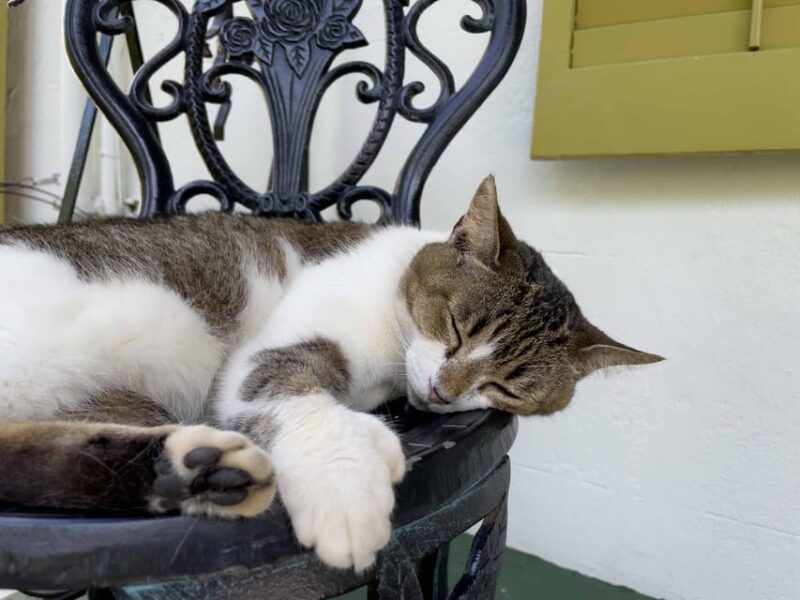 Key West GPS Audio Tour: From Seaside Village to Micro State - The Benefits and Limitations of the Self-Guided Format