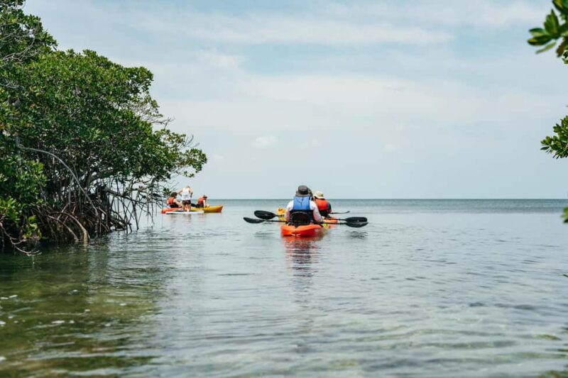 Key West: Hidden Sanctuary Kayak Tour with Sandbar Safari - All-Inclusive Lunch and Unlimited Drinks