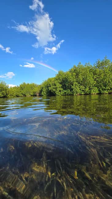 Key West: Kayak or Paddleboard Rental - Discover the Freedom of Kayaking or Paddleboarding in Key West
