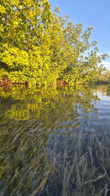 Key West: Kayak or Paddleboard Rental - Convenient Location and Easy Access at Geiger Road