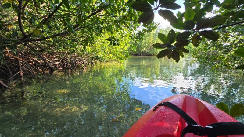 Key West: Kayak or Paddleboard Rental - Considerations for a Successful Paddleboard or Kayak Trip