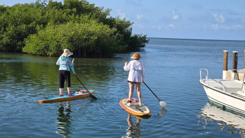 Key West: Kayak or Paddleboard Rental - Wrap-Up: A Relaxed, Wildlife-Focused Watersport