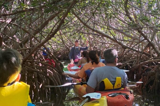 Key West Mangrove Kayak Eco Tour - What to Expect During the Kayak Eco Tour