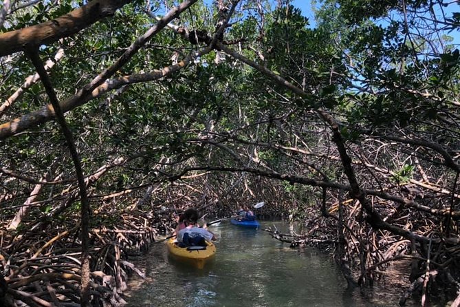 Key West Mangrove Kayak Eco Tour - Guides and Their Expertise