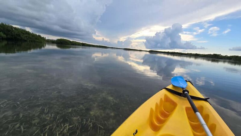 Key West: Mangrove Kayak or SUP Eco Tour - Key Points