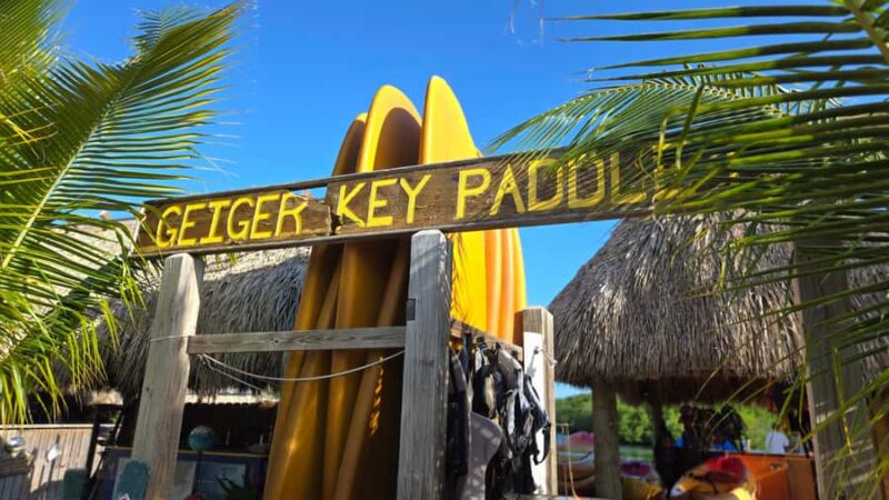Key West: Mangrove Kayak or SUP Eco Tour - Starting Point at Geiger Key and Easy Logistics