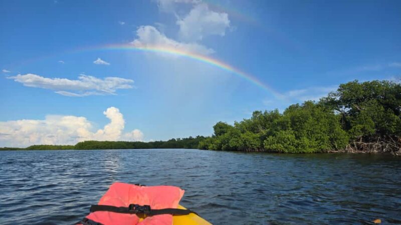 Key West: Mangrove Kayak or SUP Eco Tour - Learning from a Naturalist Guide