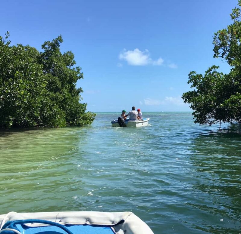 Key West: Mangroves & Bars Motorboat Tour - Opportunities to Swim in the Crystal-Clear Waters