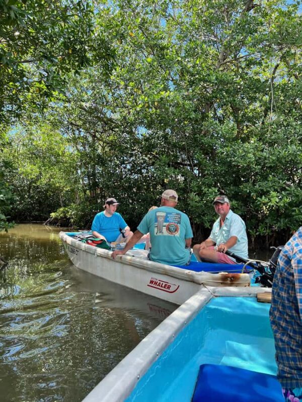 Key West: Mangroves & Bars Motorboat Tour - Comparing This Tour to Other Key West Water Adventures