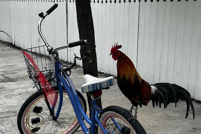 Key West Odyssey: Uncover Island Secrets, Walk by Locals - Discovering the Vibrant History of Capt Tony’s Saloon