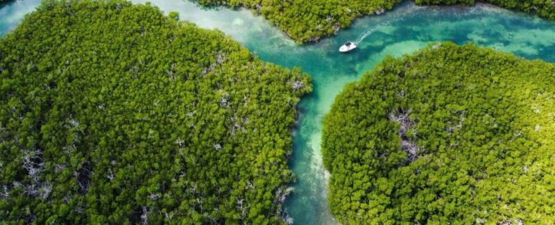 Key West: Private Boat Charter with Captain - Discover the Personalized Experience of a Key West Private Boat Charter for Up to 6 People