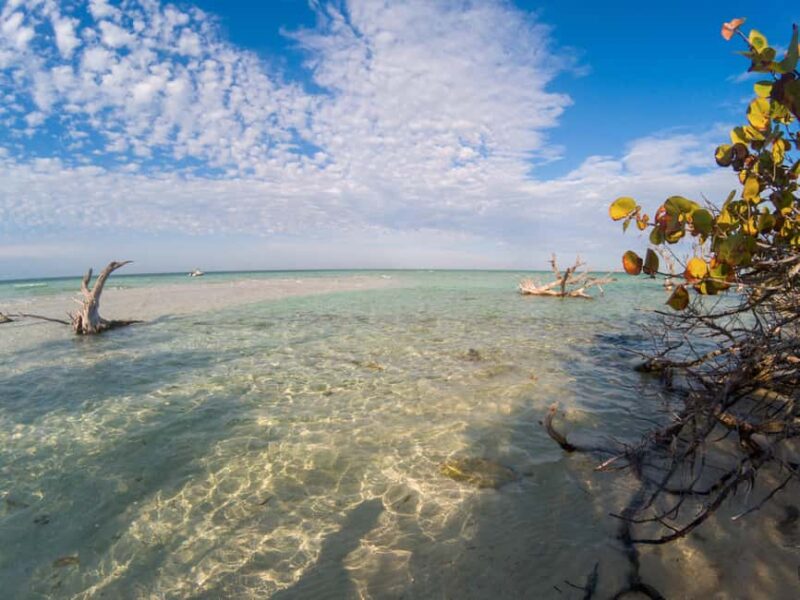 Key West: Private Boat Charter with Captain - Key Points