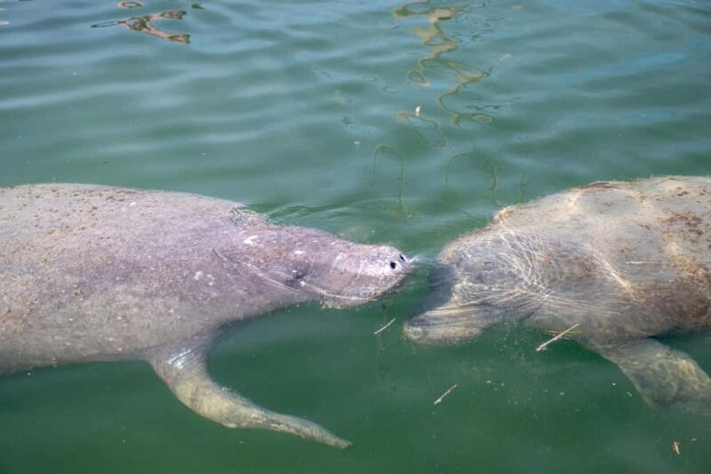 Key West: Private Boat Charter with Captain - Customizing Your Water Adventure in Key West