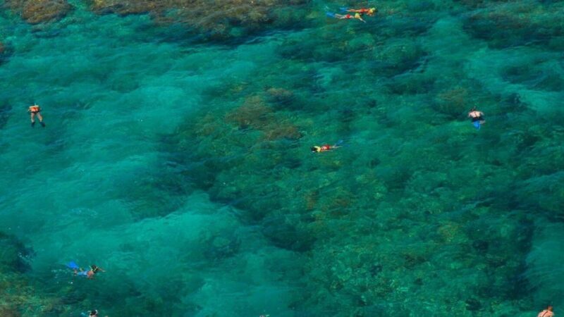 Key West: Reef Snorkeling with Drinks and Sunset Option - Key Points