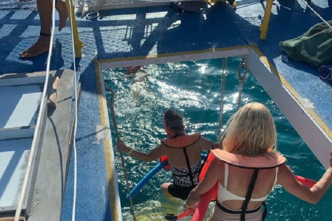 Key West Rum and Reggae: Reef Snorkel Adventure and Sunset Sail - Discover the Key West Rum and Reggae: Reef Snorkel Adventure and Sunset Sail