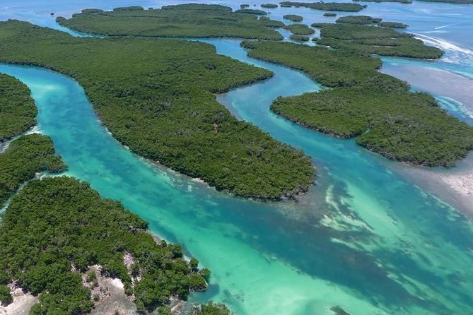 Key West Safari Eco Sandbar Tour Adventure with Snorkeling - Wildlife Watching in Florida Backcountry
