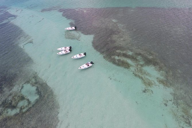 Key West Safari Eco Sandbar Tour Adventure with Snorkeling - Cost and Value for Adventure Seekers