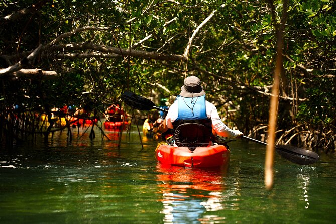 Key West Sandbar Charter With Kayak Tour: Includes Lunch & Drinks - Lunch and Unlimited Drinks on the Water