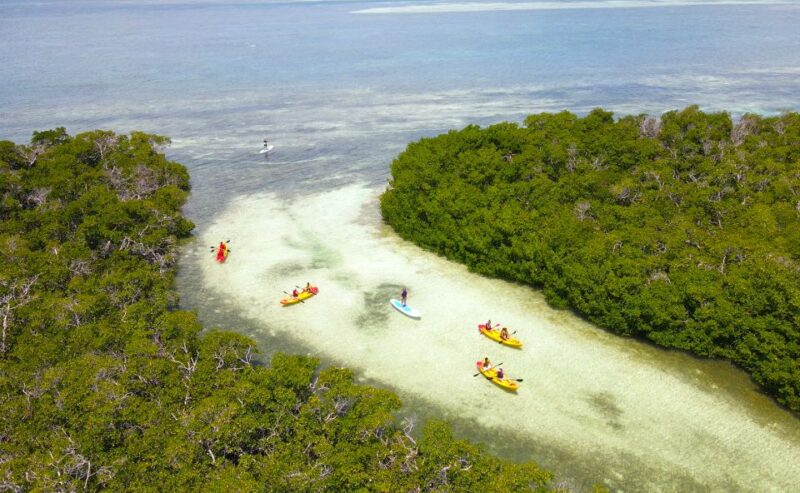 Key West: Sandbar Excursion & Kayak Tour with Lunch & Drinks - Practical Details: Meeting Point and Booking Flexibility